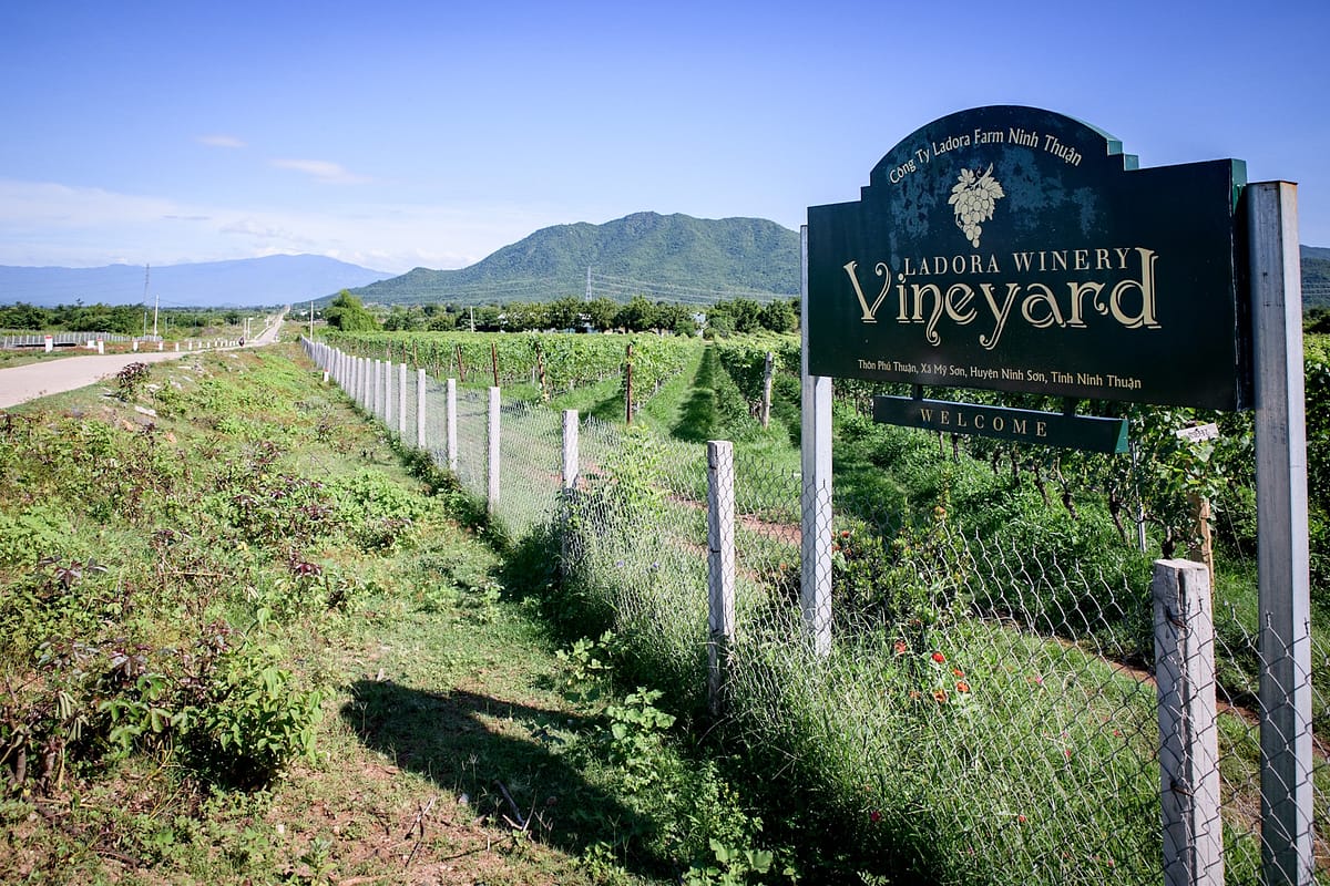Ladora Winery in the Dalat highlands, Vietnam, producer of Chateau Dalat