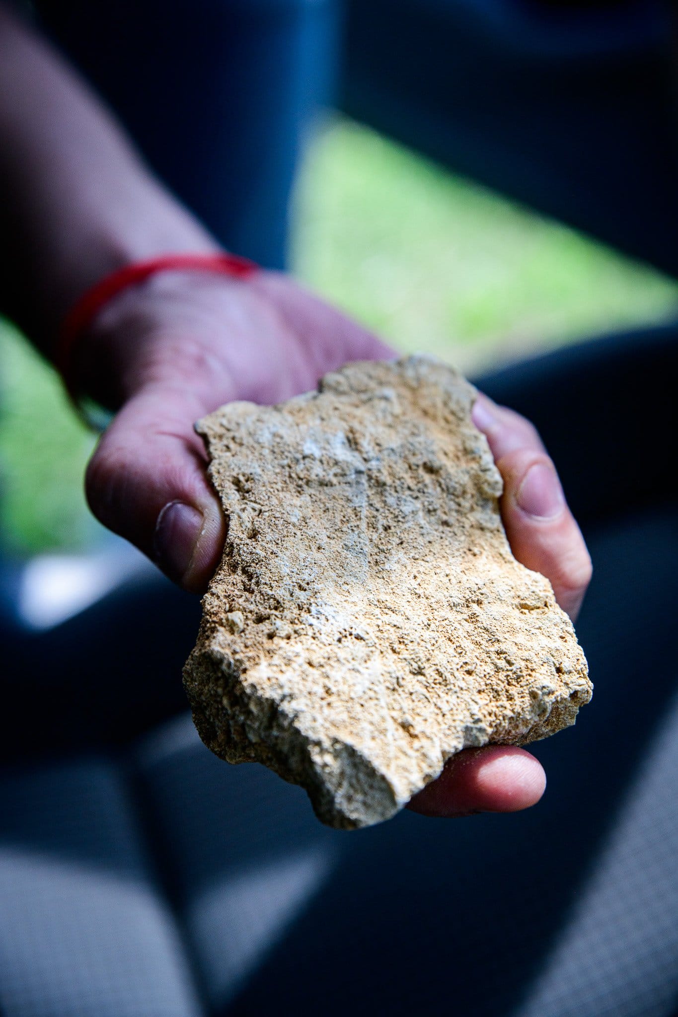 A piece of Marl found in the vineyards