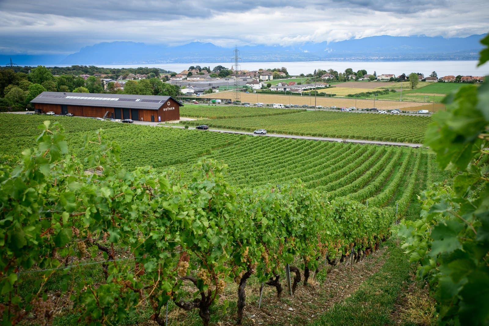 The brand-new Sother Winery