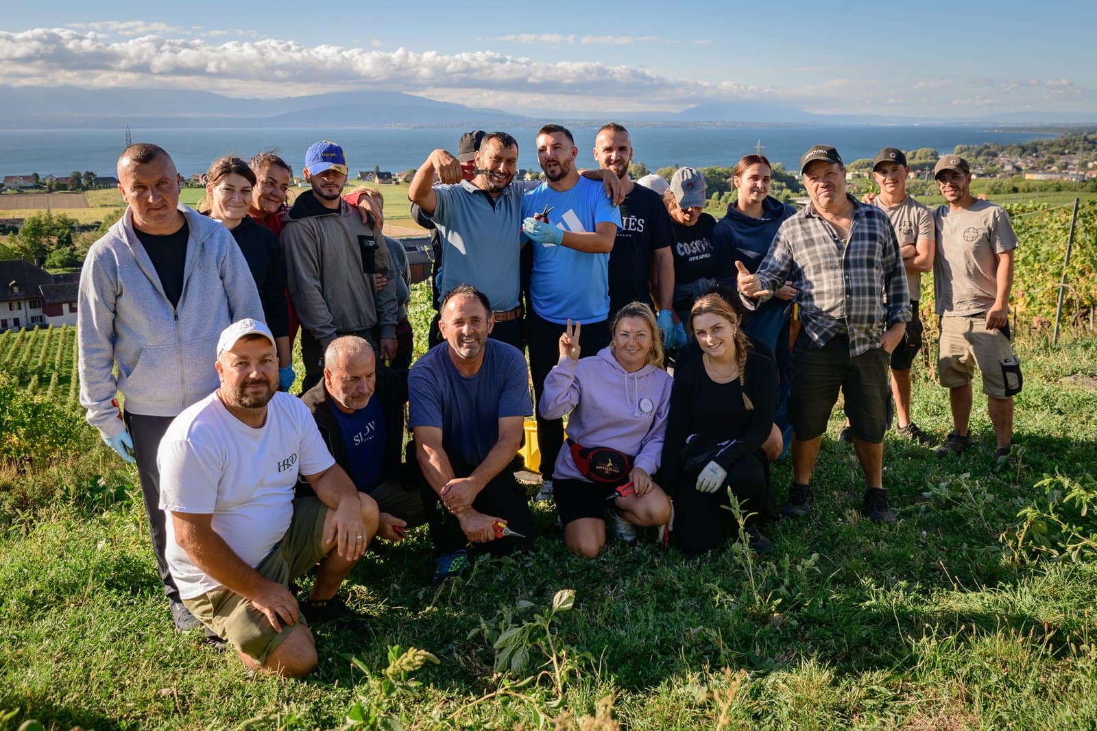 The Harvest Team