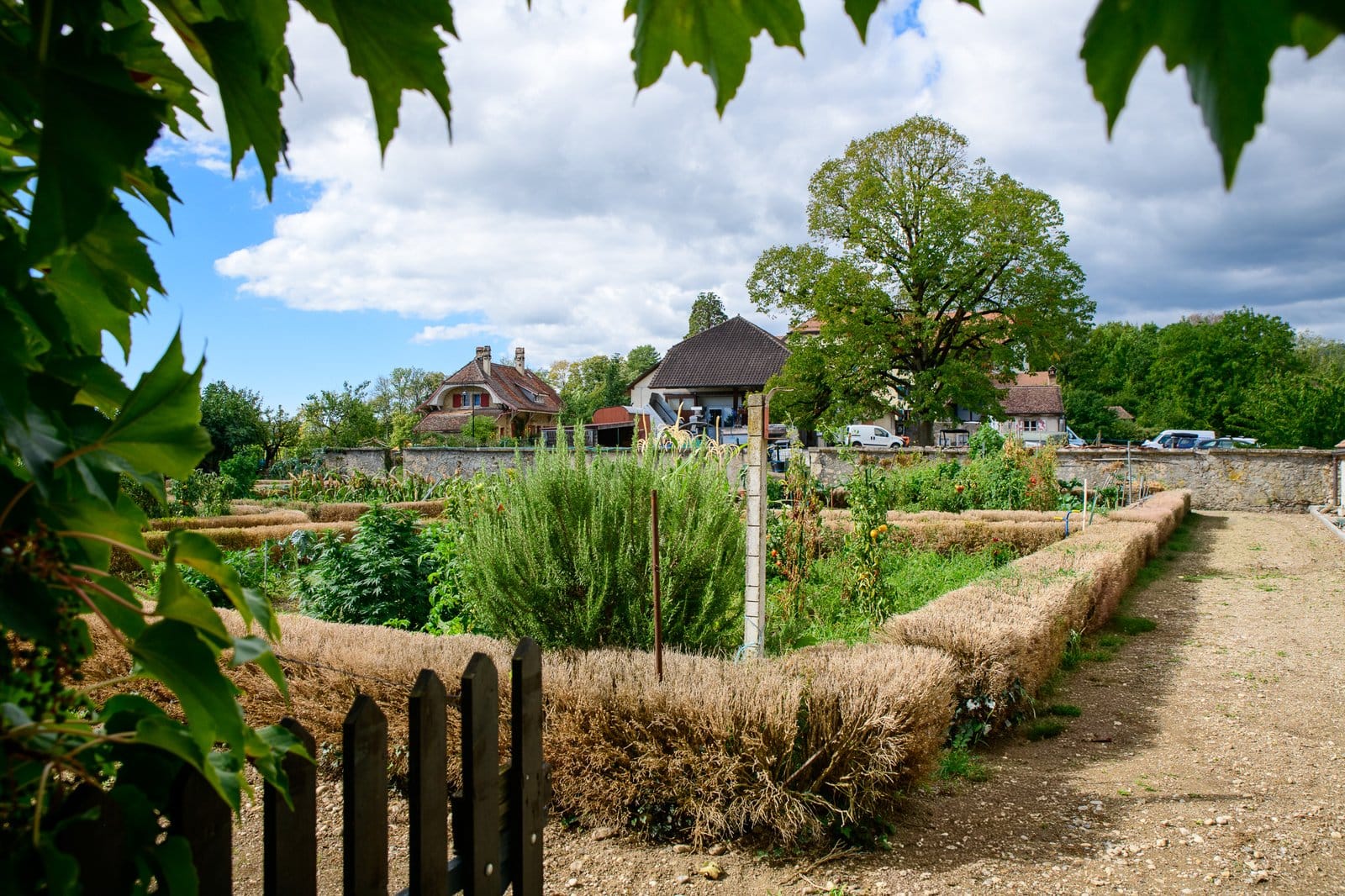 Garden of the Sother Manor
