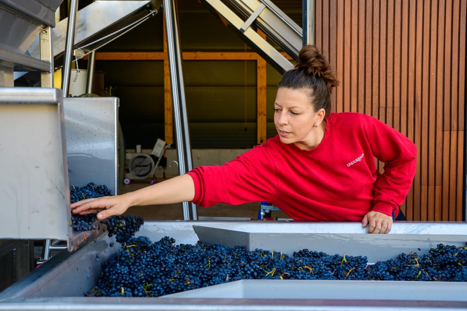 Amélie Diaz, Cellar Master